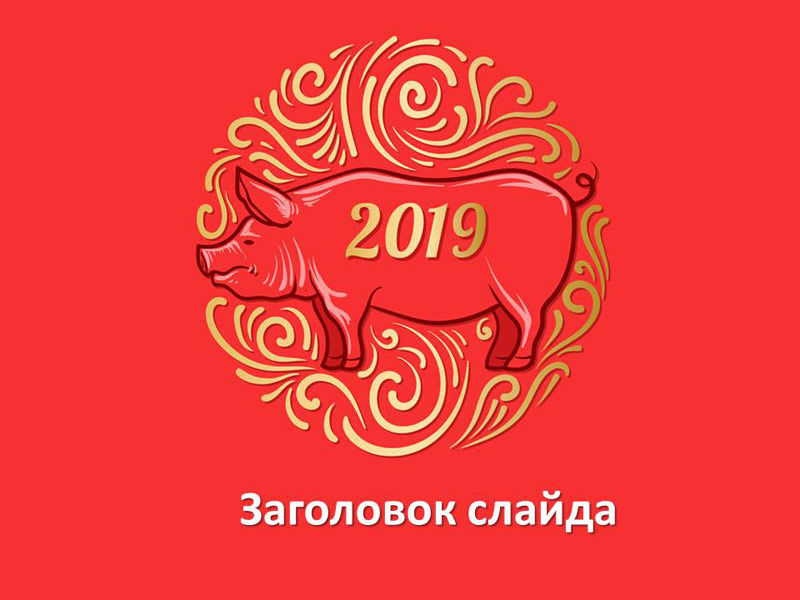Год свиньи – шаблон для создания презентации о 2019 годе