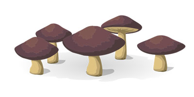 mushrooms3 small