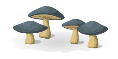 mushrooms4 small