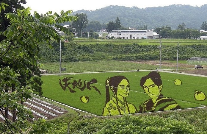 Рисовое поле - произведение искусства