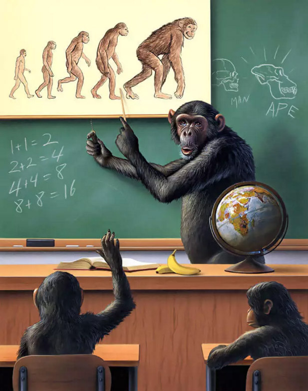 Эволюция обратно, от человека к обезьяне