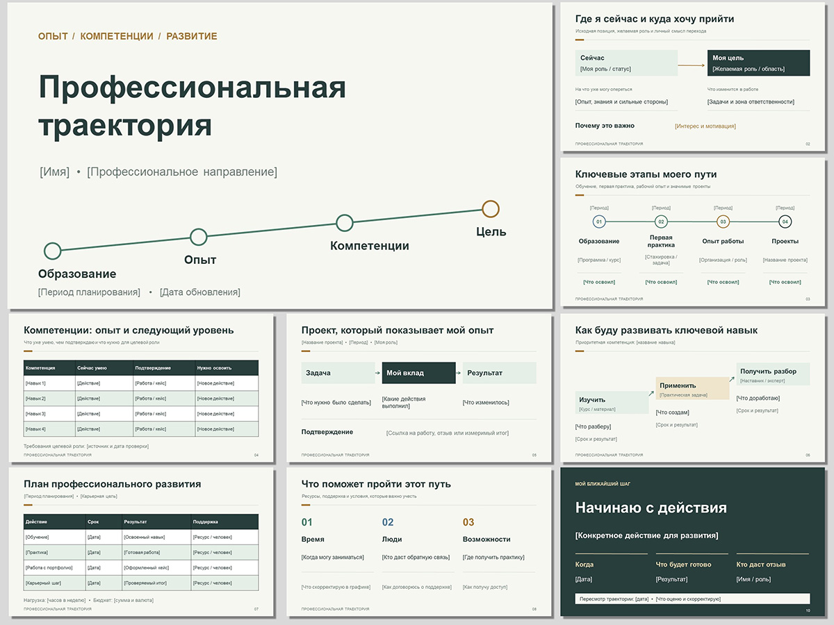 Профессиональная траектория, шаблон powerpoint