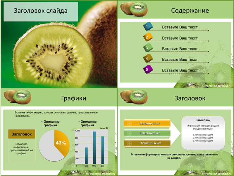 Оформление для создания презентаций про Киви