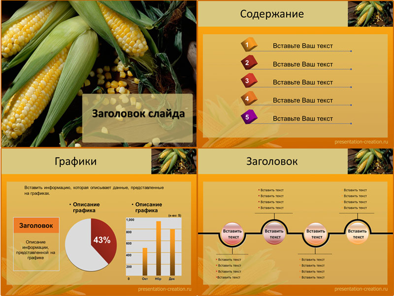 Дизайн для создания презентаций про кукурузу