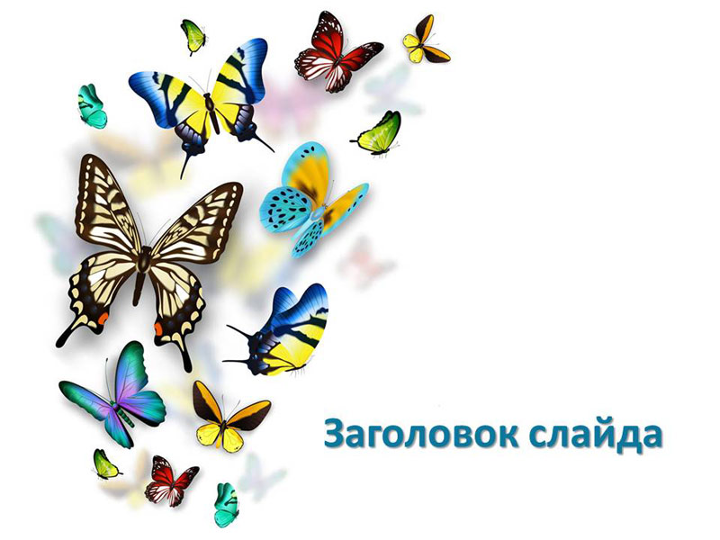 Волшебные бабочки, дизайн для создания презентации