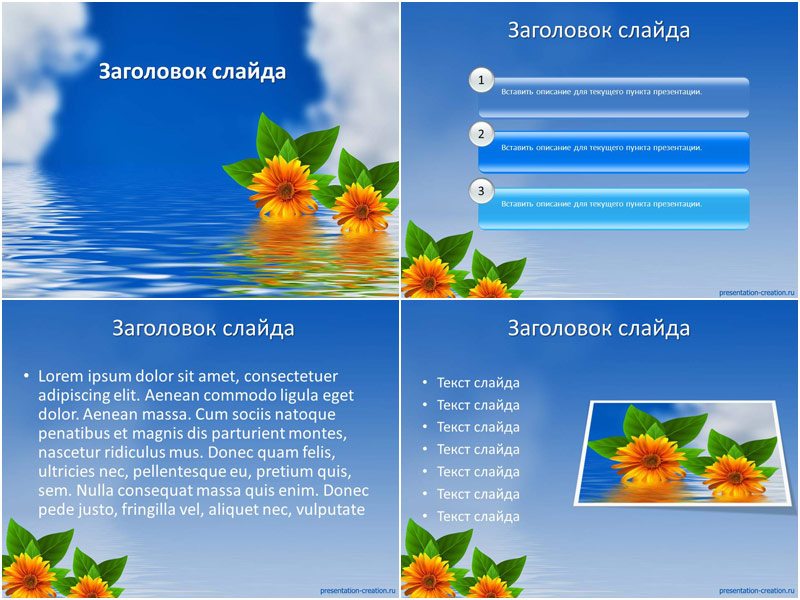 Цветы на воде - оформление для создания презентаций PowerPoint