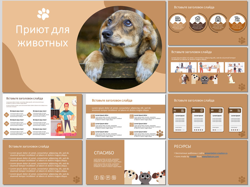Приют для животных - бесплатный шаблон для PowerPoint и Google презентаций