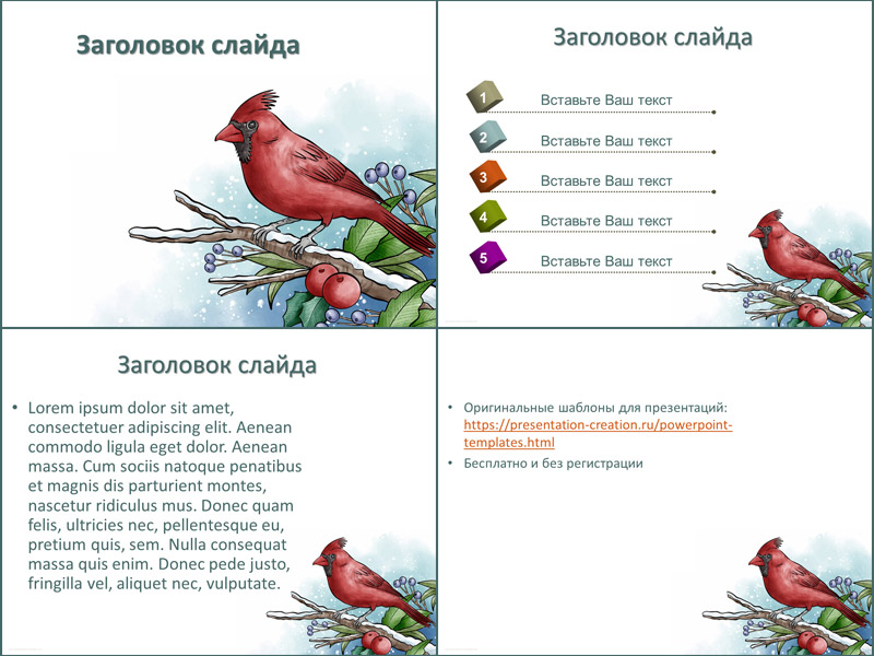Шаблон для создания презентации о птицах зимой
