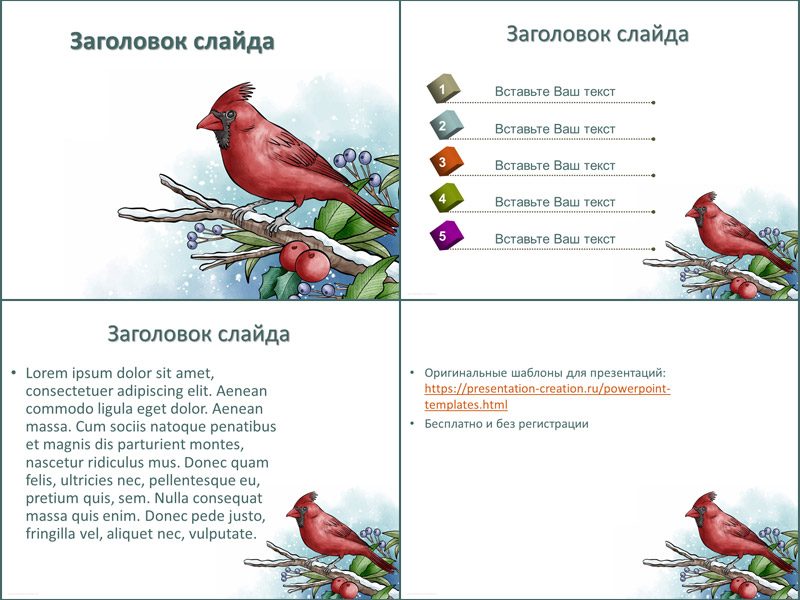 PowerPoint для создания наглядных материалов: инструкция и комплект слайдов с упражнениями