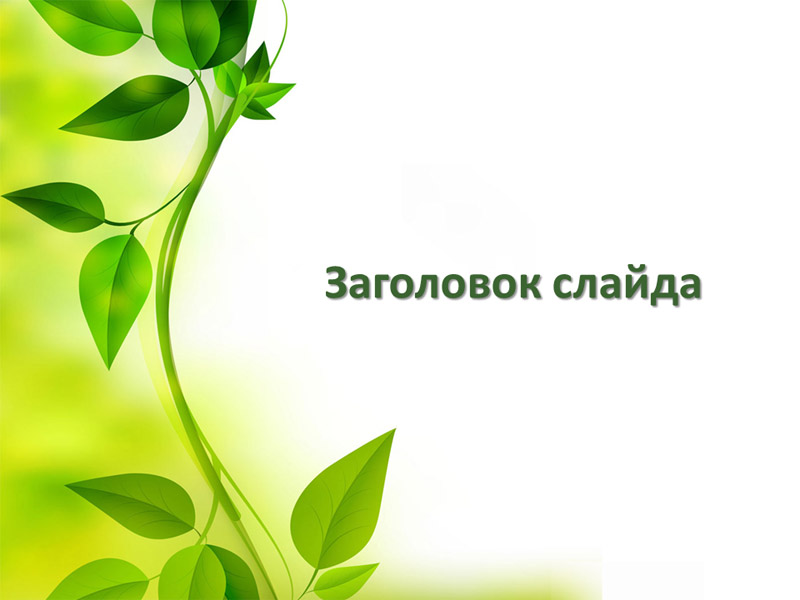 Стебель с зелеными листьями, бесплатный дизайн для создания презентации PowerPoint