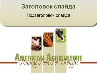 Сельское хозяйство в Америке - тема для создания презентации