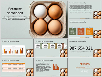 шаблон презентации с куриными яйцами